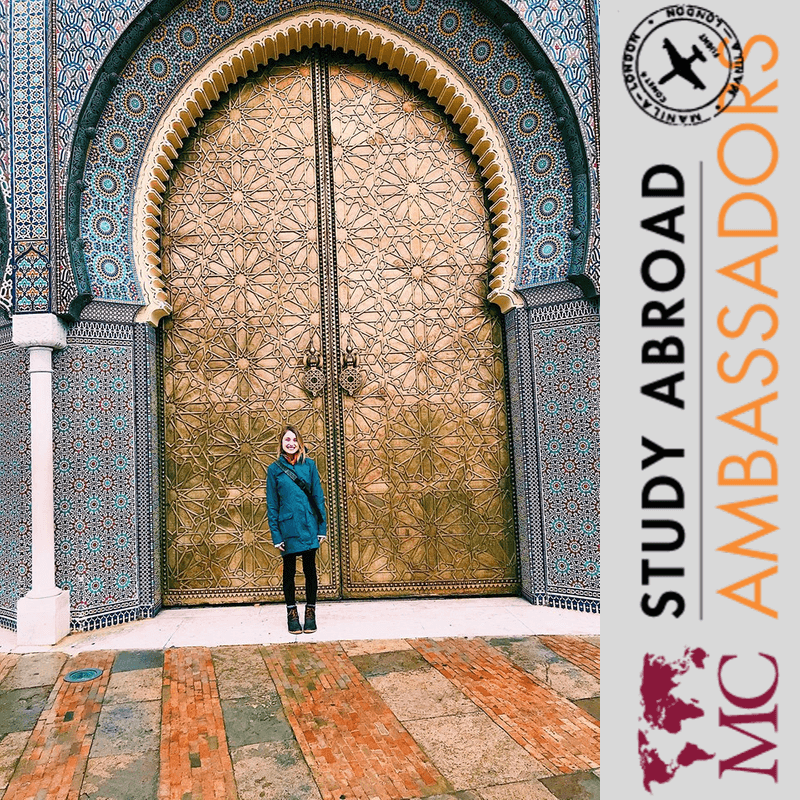 MC student standing in front of the copper door of a ornate building in India